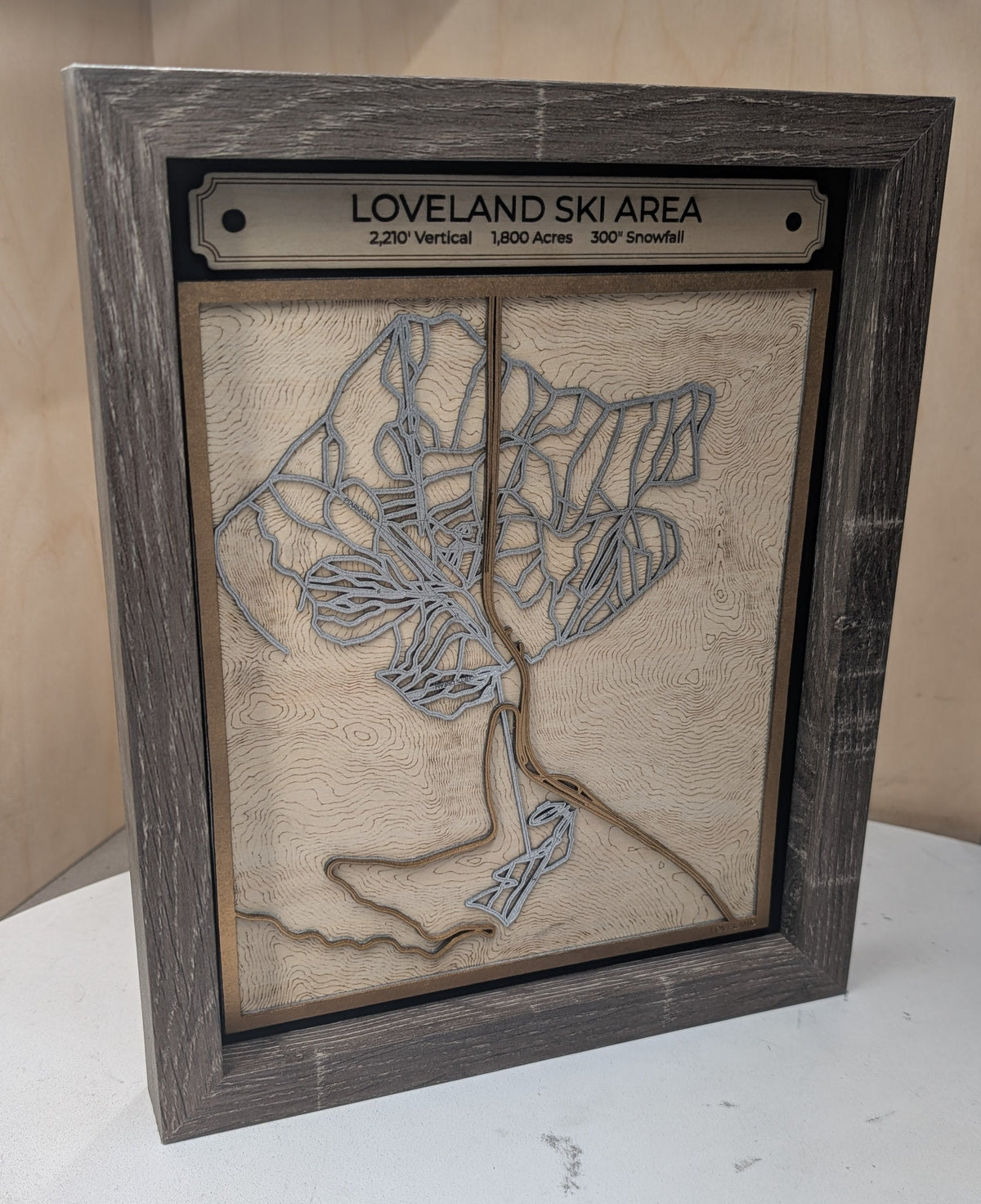 Loveland Ski Area 3D Trail Map