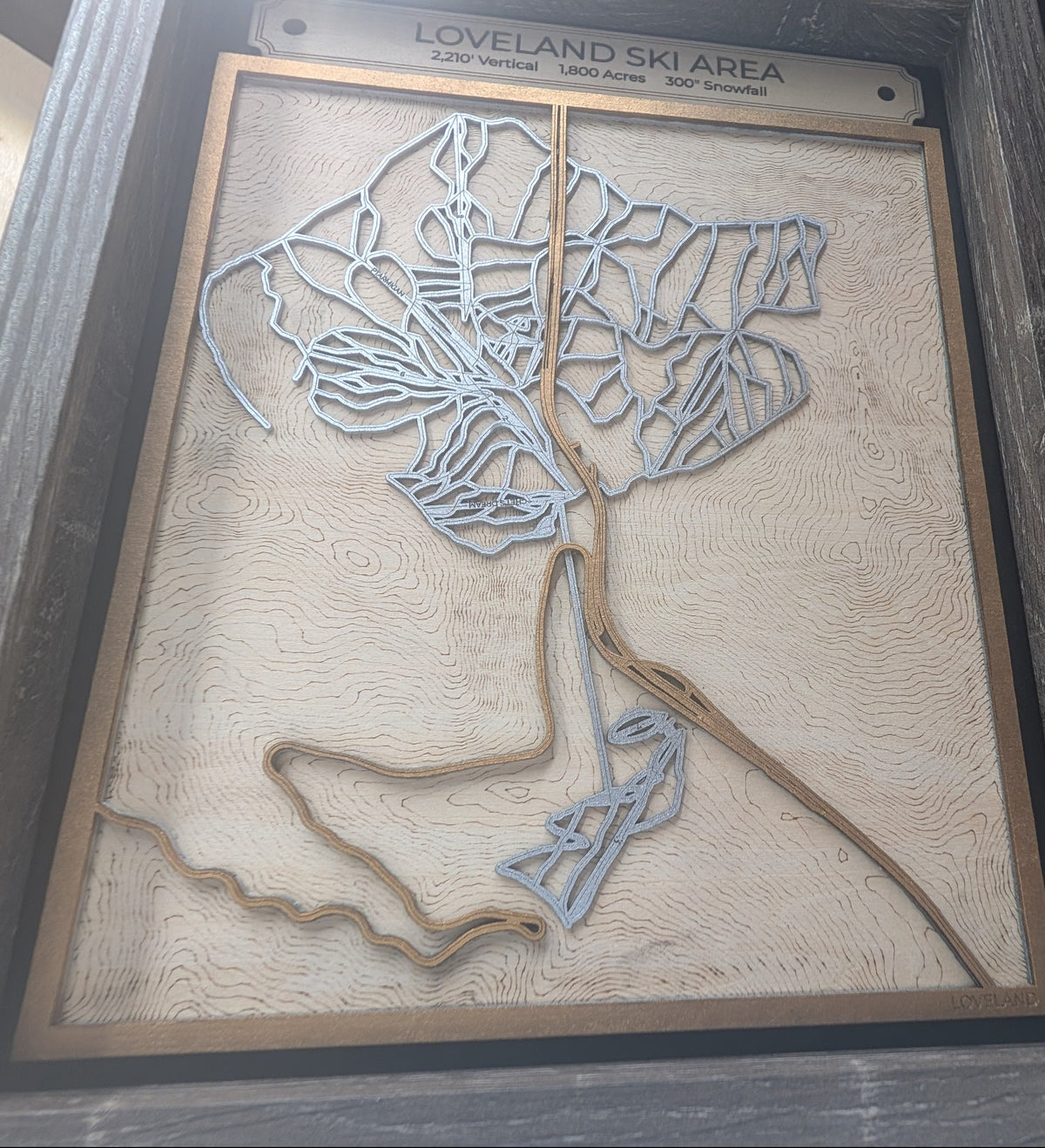 Loveland Ski Area 3D Trail Map