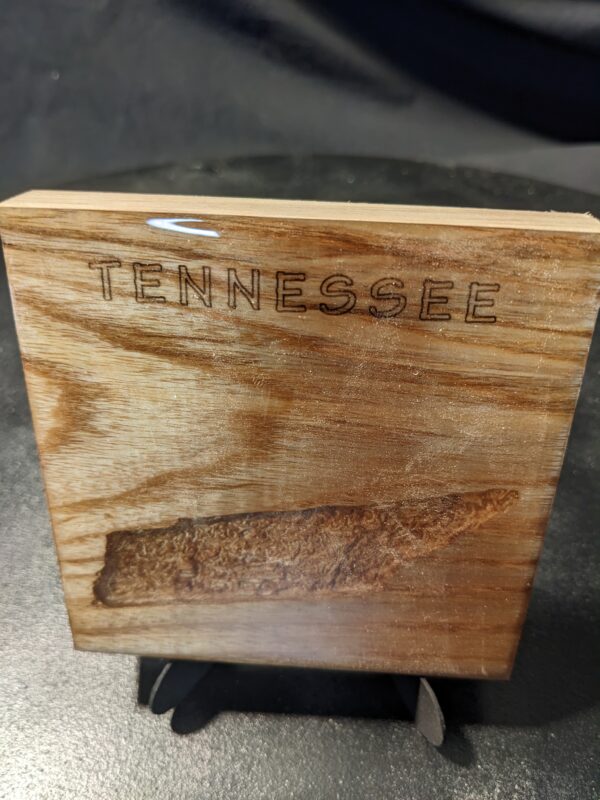 Topo Coaster - Tennessee