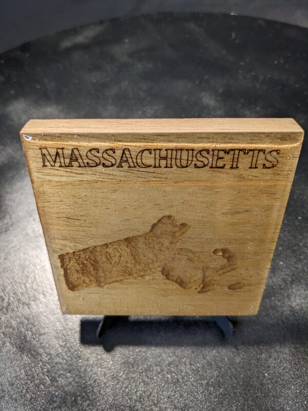 Massachusetts - Topographical Drink Coaster